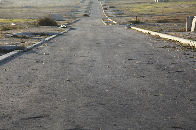  דלית גלבוע  — גוש 2